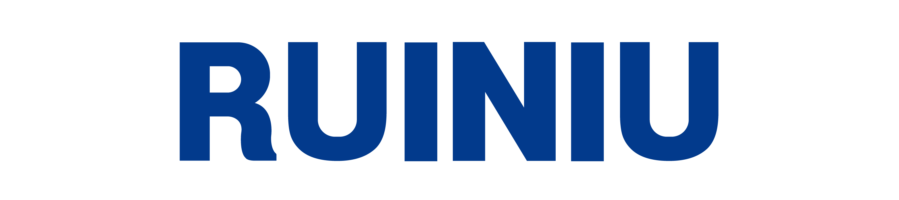 RUINIU STOCK COMPANY LIMITED
